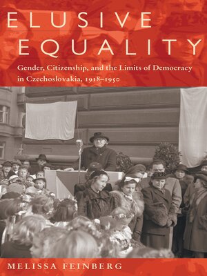 cover image of Elusive Equality